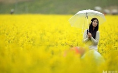 成人无码高潮AV在线观看